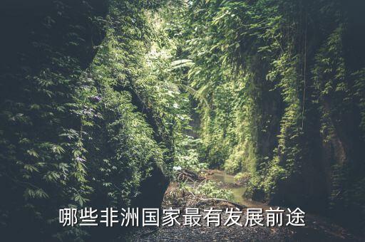 哪些非洲國家最有發展前途