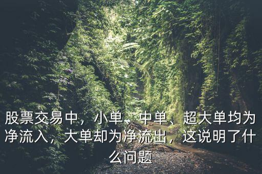 股票交易中，小單、中單、超大單均為凈流入，大單卻為凈流出，這說(shuō)明了什么問(wèn)題