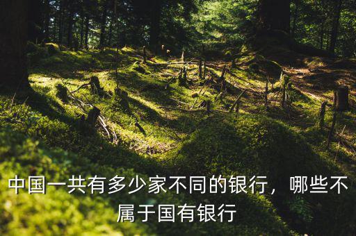 中國一共有多少家不同的銀行，哪些不屬于國有銀行