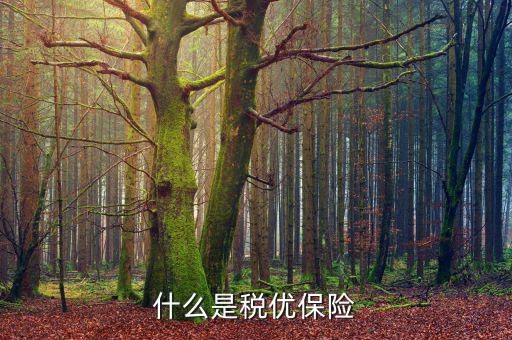 什么是稅優保險,什么是稅優保險