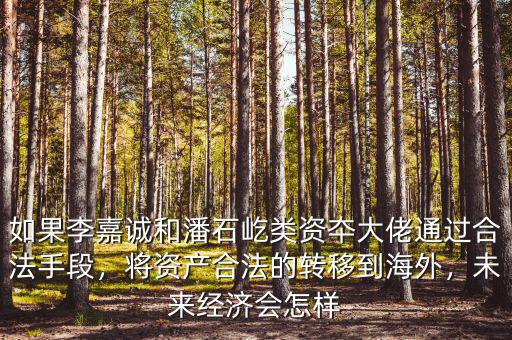 如果李嘉誠和潘石屹類資夲大佬通過合法手段，將資產(chǎn)合法的轉(zhuǎn)移到海外，未來經(jīng)濟會怎樣