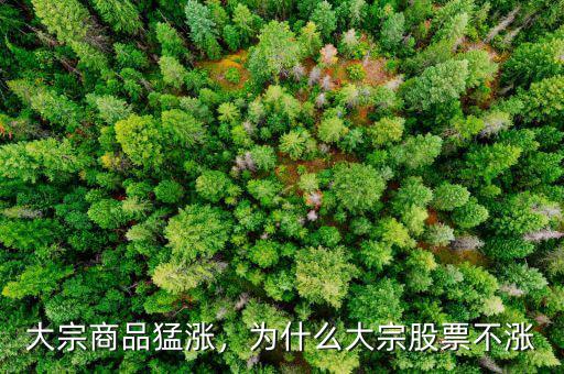 大宗商品猛漲，為什么大宗股票不漲