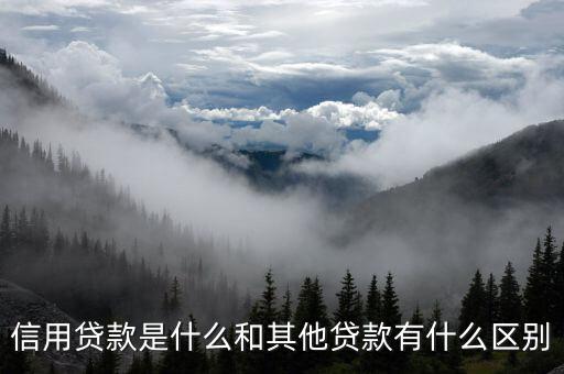 信用貸是什么意思,和其他貸款有什么區別