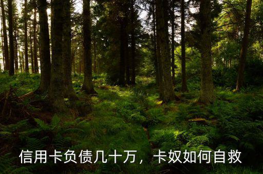 信用卡負債幾十萬，卡奴如何自救