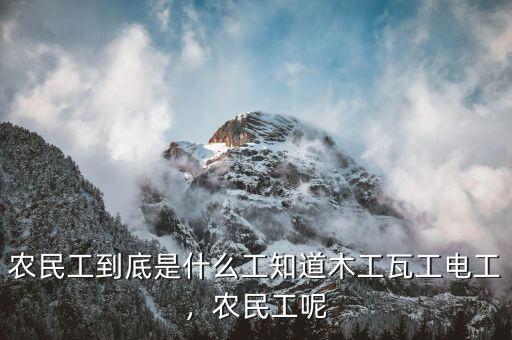 農民工到底是什么工知道木工瓦工電工，農民工呢