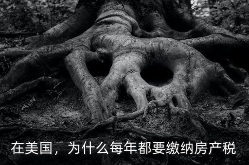 美國為什么敢讓市場決定房價,價值規律能決定房價的漲降嗎