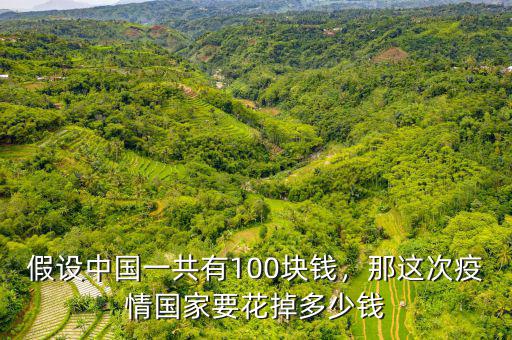 假設中國一共有100塊錢，那這次疫情國家要花掉多少錢