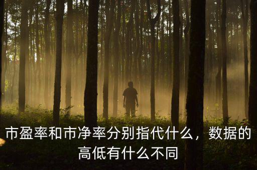 什么是數據的高低位,市盈率和市凈率分別指代什么