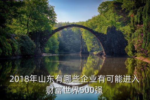 2018年山東有哪些企業有可能進入財富世界500強
