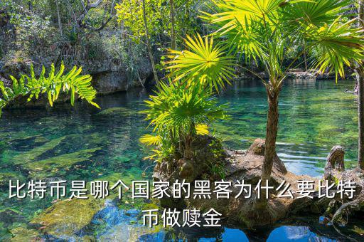 人們為什么要炒比特幣,黑客為什么要比特幣做贖金