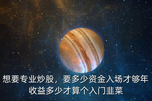 想要專業炒股，要多少資金入場才夠年收益多少才算個入門韭菜