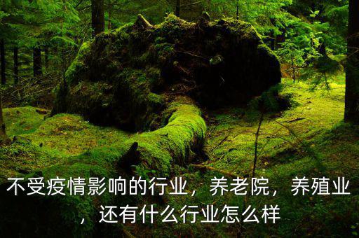 什么行業不受網絡影響,不受疫情影響的行業