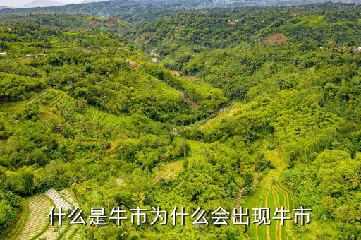 什么是牛市為什么會出現牛市