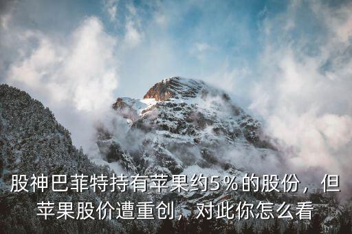 股神巴菲特持有蘋果約5％的股份，但蘋果股價遭重創，對此你怎么看