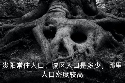 貴陽城區人口是多少,目前中心城區有多少人口
