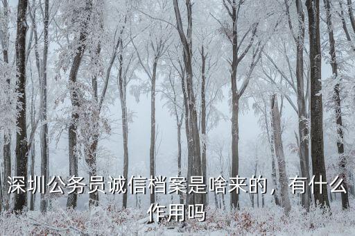 深圳公務員誠信檔案是啥來的，有什么作用嗎