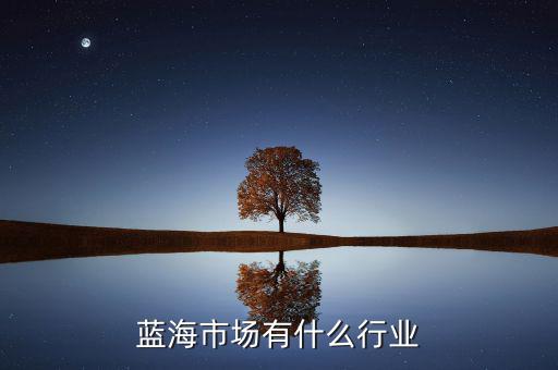 藍海市場有什么行業