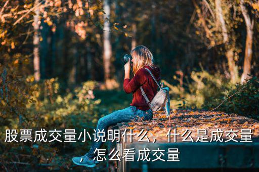 股票成交量小說明什么，什么是成交量，怎么看成交量