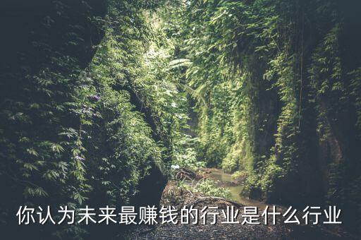 你認為未來最賺錢的行業是什么行業