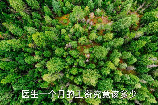 醫生一個月的工資究竟該多少