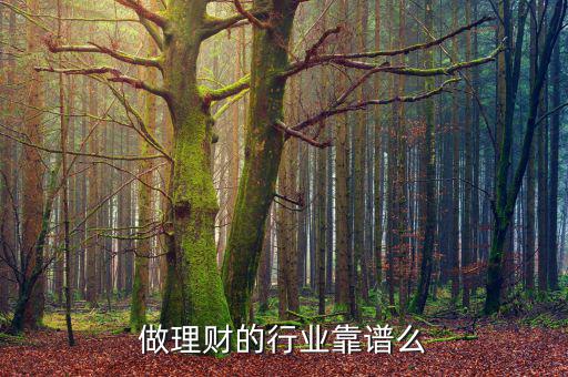 做理財的行業靠譜么
