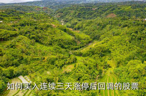 如何買入連續三天漲停后回調的股票