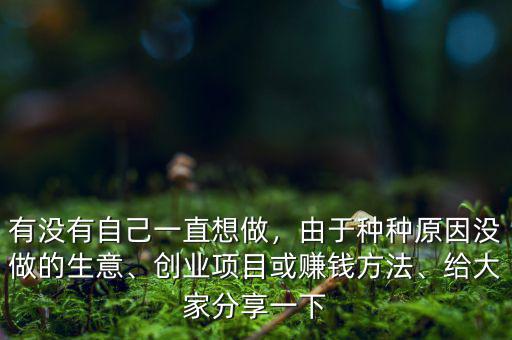 有沒有自己一直想做，由于種種原因沒做的生意、創業項目或賺錢方法、給大家分享一下