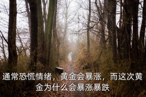 通常恐慌情緒，黃金會暴漲，而這次黃金為什么會暴漲暴跌