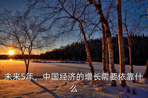 未來5年，中國經濟的增長需要依靠什么