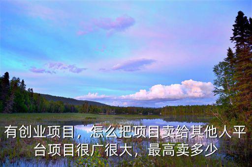有創(chuàng)業(yè)項目，怎么把項目賣給其他人平臺項目很廣很大，最高賣多少