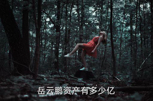 岳云鵬資產有多少億