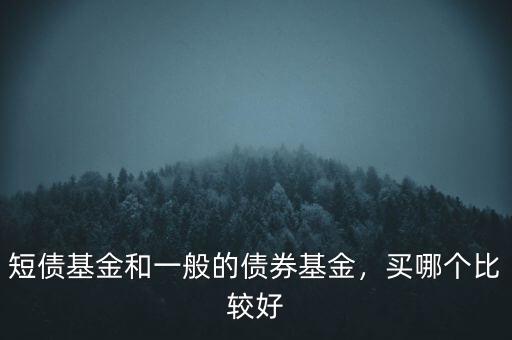 短債基金和一般的債券基金，買哪個比較好