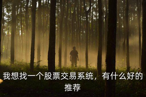 網上股票交易系統什么時候有的,我想找一個股票交易系統