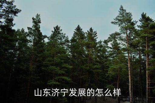 山東鄒城百隆紡織怎么樣,現在紡織行業怎么樣