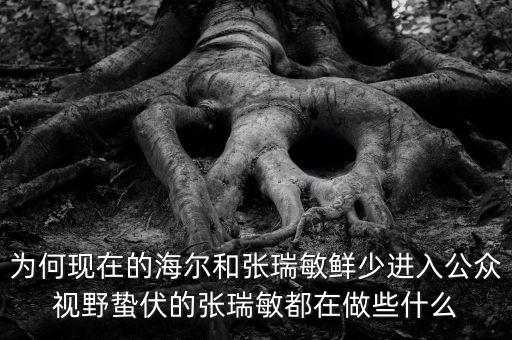 張瑞敏三個是什么,海爾到底是什么性質的企業