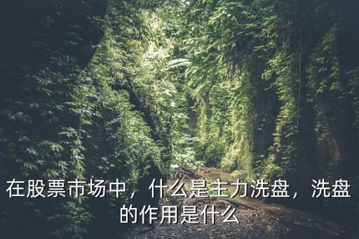在股票市場中，什么是主力洗盤，洗盤的作用是什么