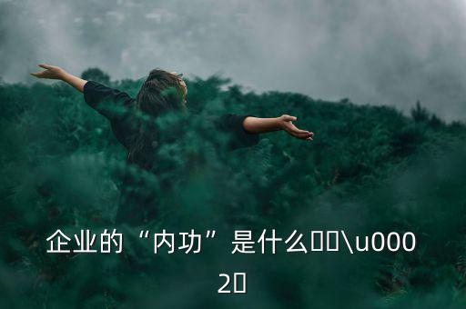 挑戰者企業是什么,企業的內功是什么