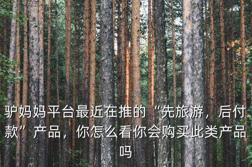 驢媽媽平臺最近在推的“先旅游，后付款”產品，你怎么看你會購買此類產品嗎
