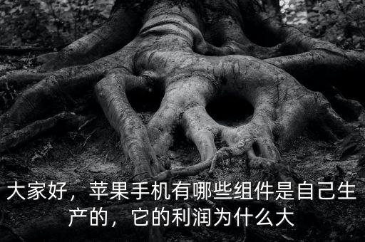大家好，蘋果手機有哪些組件是自己生產的，它的利潤為什么大