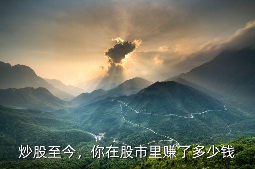 炒股至今，你在股市里賺了多少錢