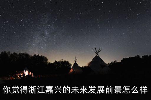 你覺得浙江嘉興的未來發展前景怎么樣