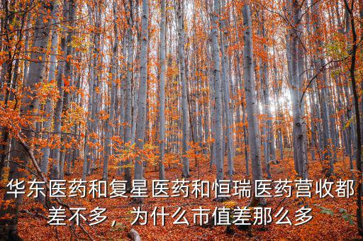 華東醫藥和復星醫藥和恒瑞醫藥營收都差不多，為什么市值差那么多