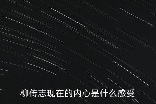 柳傳志現在做什么,柳傳志做了什么