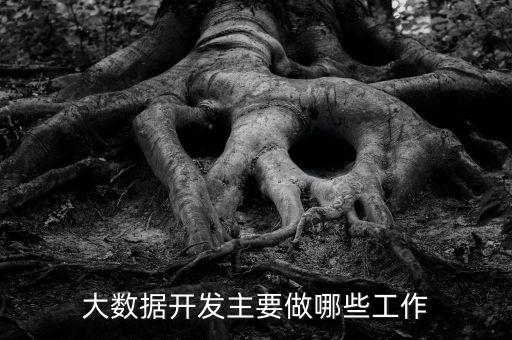 大數據開發主要做哪些工作