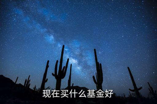 現在買什么基金好