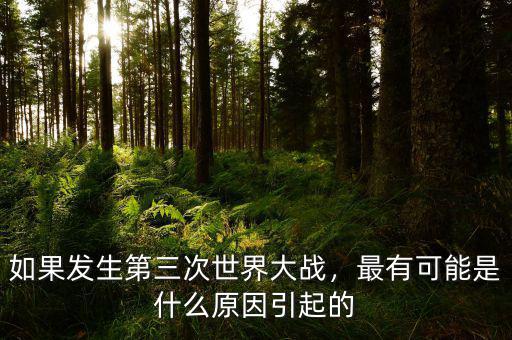 世界大戰怎么引起的,最有可能是什么原因引起的
