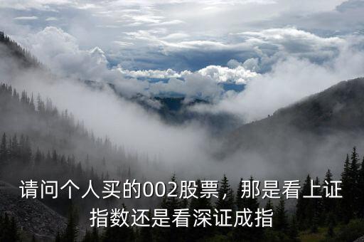 請問002開頭的股票是什么意思,那是看上證指數