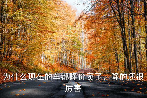 為什么現(xiàn)在的車都降價賣了，降的還很厲害
