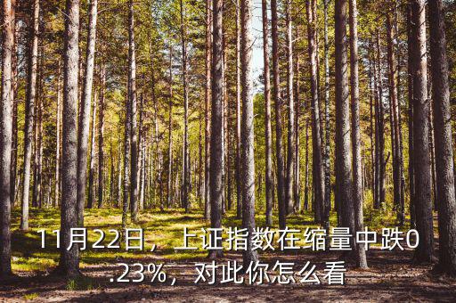 11月22日，上證指數(shù)在縮量中跌0.23%，對(duì)此你怎么看