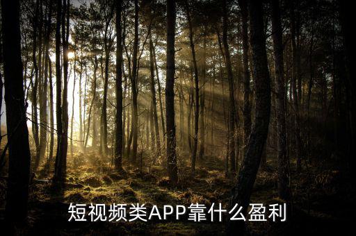 優酷靠什么盈利,一個網站靠什么盈利